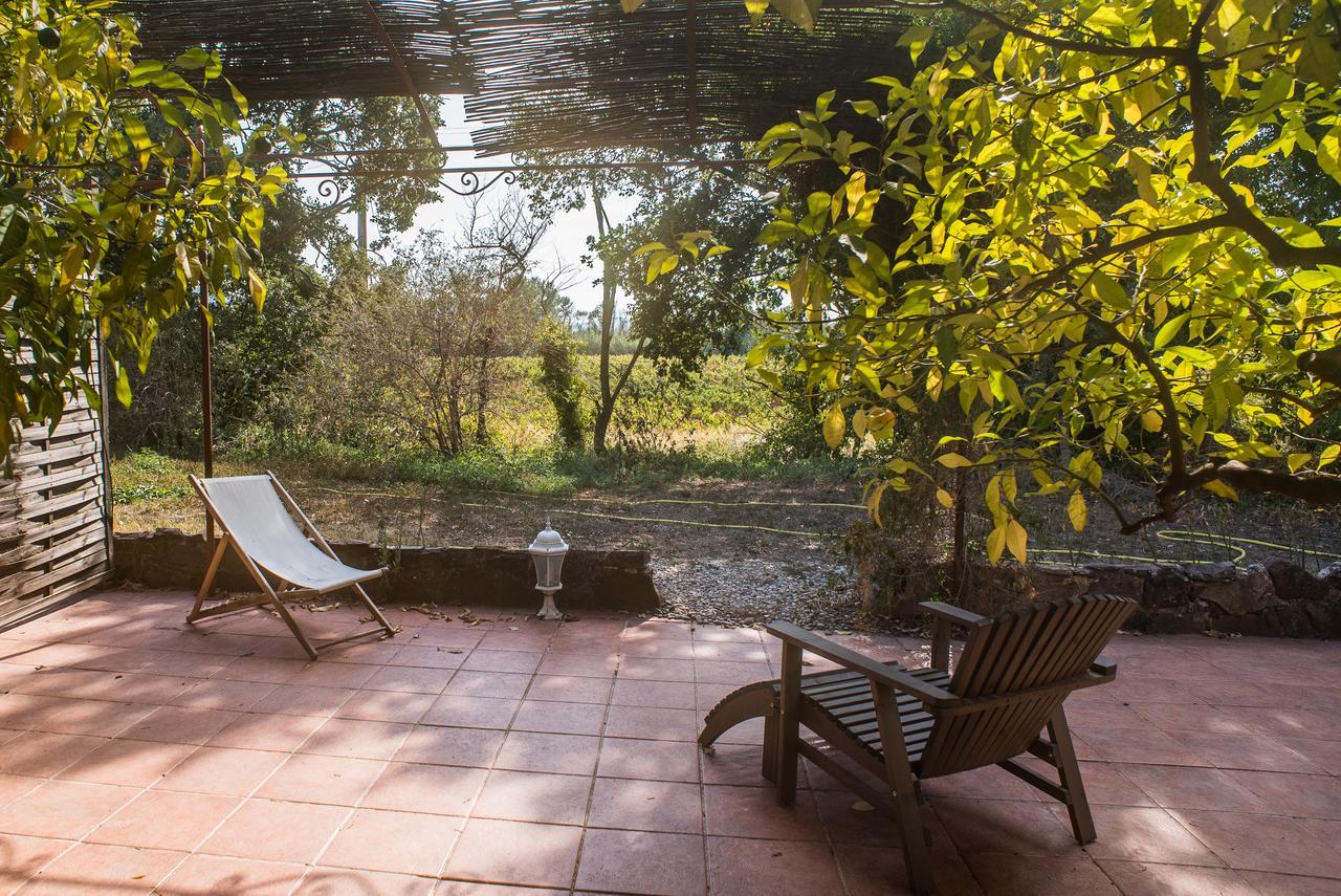 Domaine De La Marseillaise Διαμέρισμα La Crau Εξωτερικό φωτογραφία